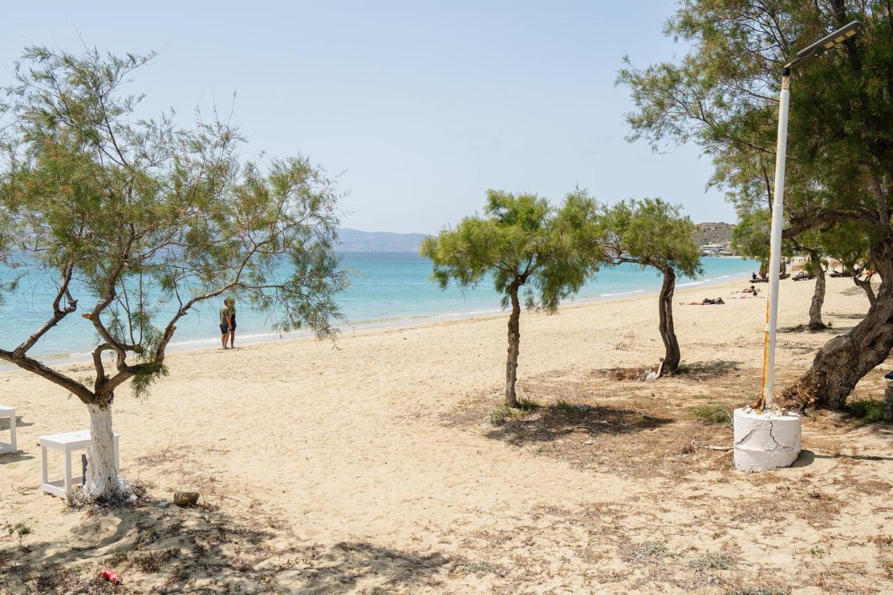 Flerianos Studios Naxos Agios Prokopios  Exteriör bild
