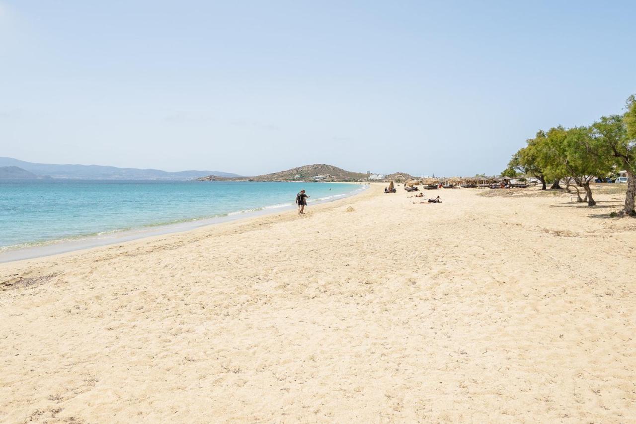 Flerianos Studios Naxos Agios Prokopios  Exteriör bild